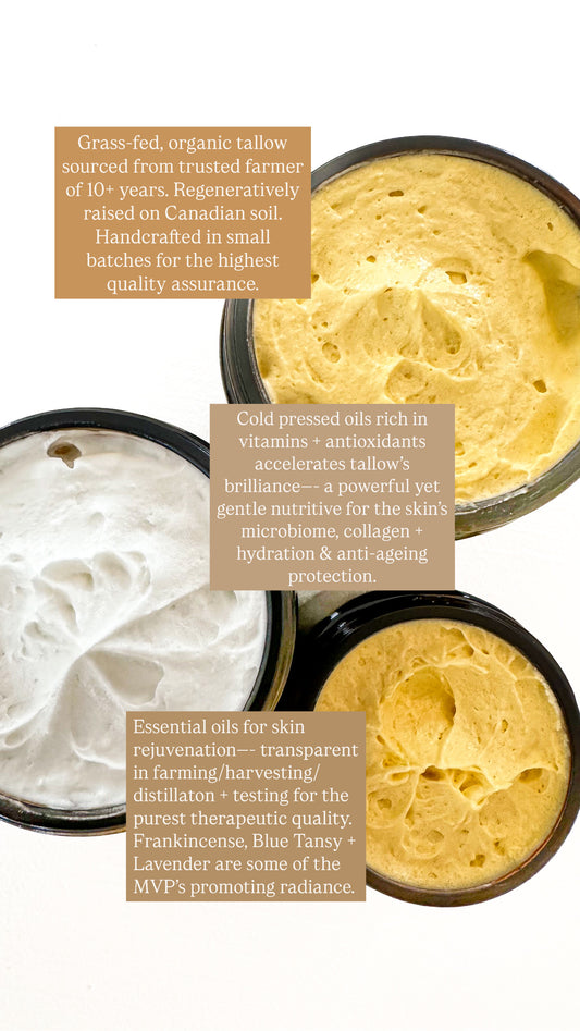 Face Glow Whipped Tallow: Seabuckthorn Berry & Blue Tansy